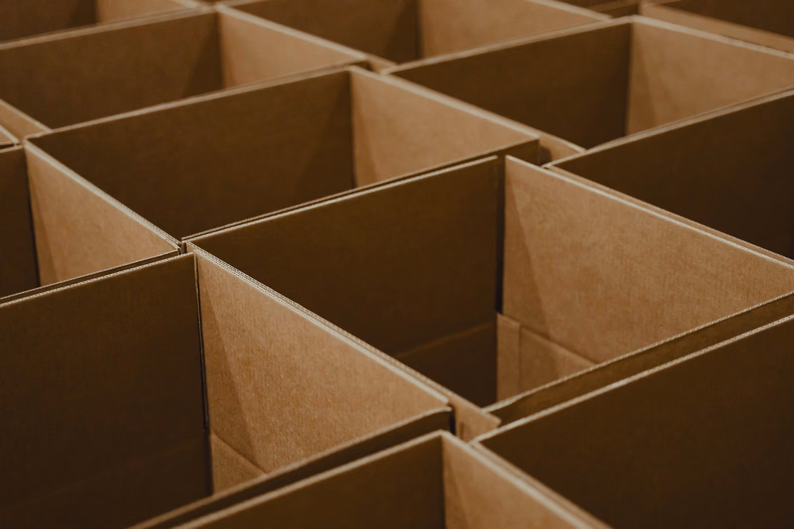Rows of open cardboard boxes, photographed close up